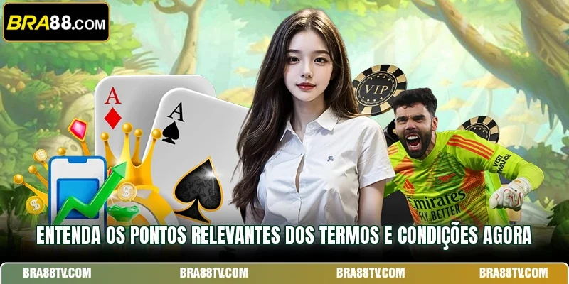 Entenda os pontos relevantes dos Termos e Condições agora